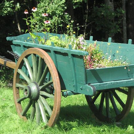 Camping La Vallee Verte Ambert Eksteriør bilde
